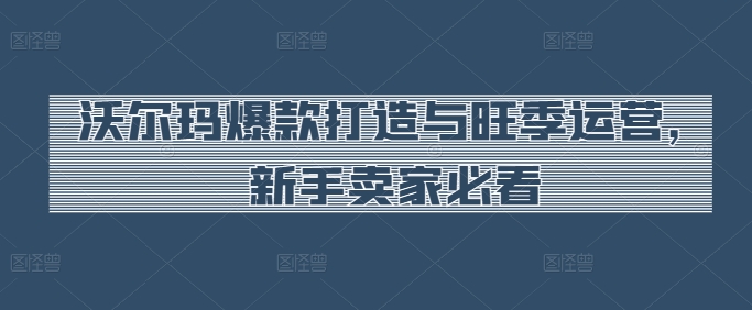 沃尔玛爆款打造与旺季运营，新手卖家必看-网创先锋