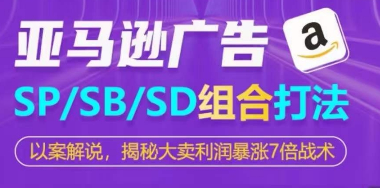 亚马逊SP/SB/SD广告组合打法，揭秘大卖利润暴涨7倍战术-网创先锋