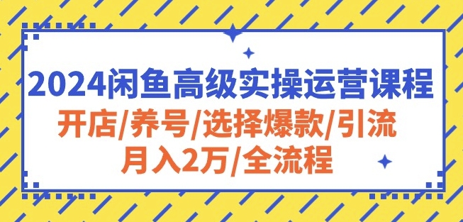 2024闲鱼高级实操运营课程：开店/养号/选择爆款/引流/月入2万/全流程-网创先锋