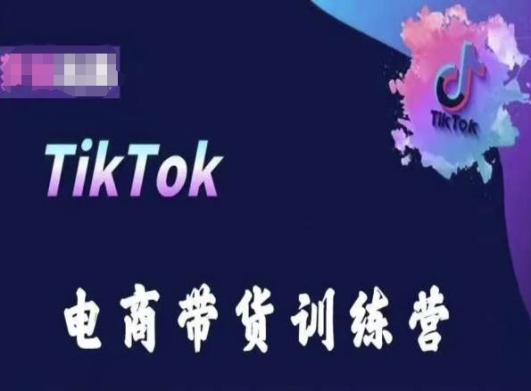 TikTok电商带货训练营，跟随时代潮流，跨境掘金-网创先锋