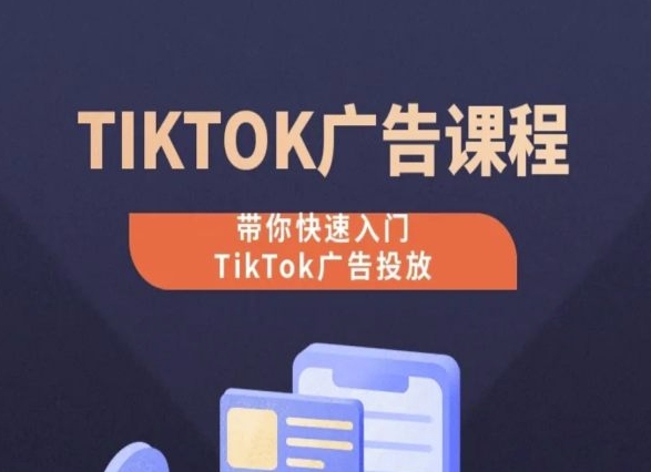 TikTok广告投放课程，从0-1实操课，带你快速入门TikTok广告投放-网创先锋