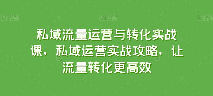 私域流量运营与转化实战课，私域运营实战攻略，让流量转化更高效-网创先锋