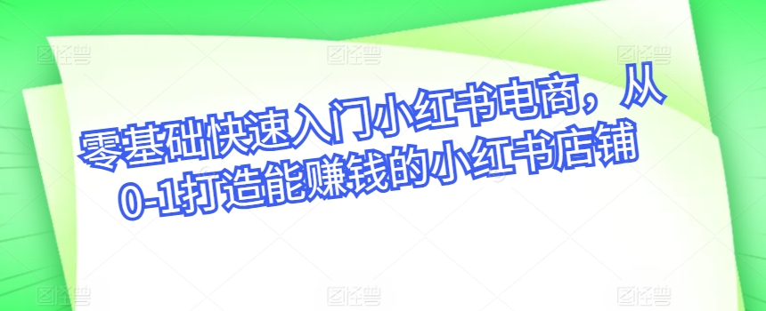 零基础快速入门小红书电商，从0-1打造能赚钱的小红书店铺-网创先锋