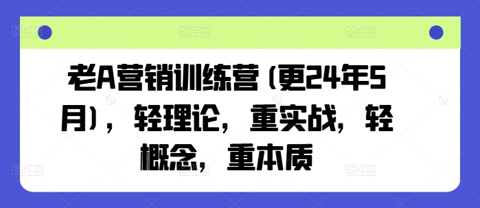 老A营销训练营(更24年5月)，轻理论，重实战，轻概念，重本质-网创先锋