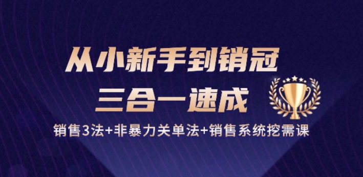 从小新手到销冠 三合一速成：销售3法+非暴力关单法+销售系统挖需课 (27节)-网创先锋