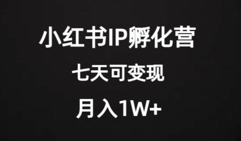 价值2000+的小红书IP孵化营项目，超级大蓝海，七天即可开始变现，稳定月入1W+-网创先锋