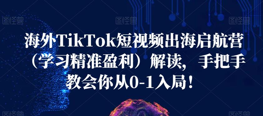 海外TikTok短视频出海启航营（学习精准盈利）解读，手把手教会你从0-1入局！-网创先锋