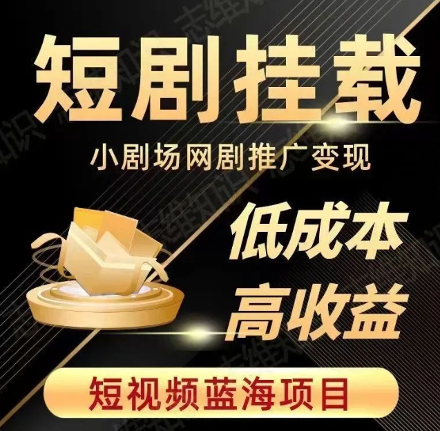 2023短视频蓝海项目，抖音快手短剧推广变现教程，低成本高收益-网创先锋