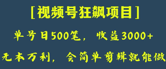 日收款500笔，纯利润3000+，视频号狂飙项目，会简单剪辑就能做【揭秘】-网创先锋