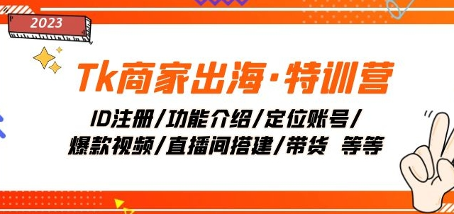 Tk商家出海·特训营：ID注册/功能介绍/定位账号/爆款视频/直播间搭建/带货-网创先锋