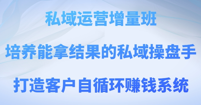 私域运营增量班，培养能拿结果的私域操盘手，打造客户自循环赚钱系统-网创先锋