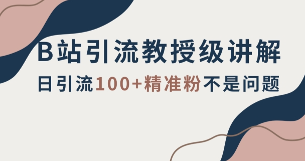 B站引流教授级讲解，细节满满，日引流100+精准粉不是问题【揭秘】-网创先锋