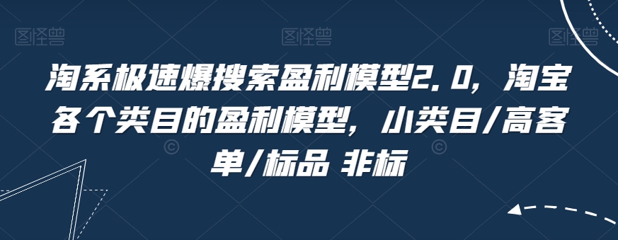 淘系极速爆搜索盈利模型2.0，淘宝各个类目的盈利模型，小类目/高客单/标品 非标-网创先锋