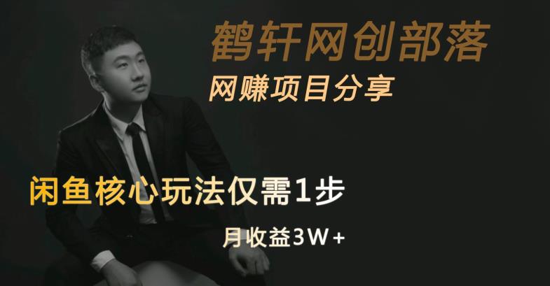 闲鱼核心玩法不卖货也能1年变现20W，玩法简单-网创先锋