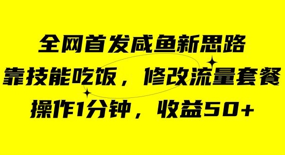 咸鱼冷门新玩法，靠“技能吃饭”，修改流量套餐，操作1分钟，收益50【揭秘】-网创先锋
