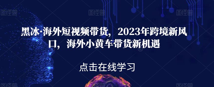 黑冰·海外短视频带货，2023年跨境新风口，海外小黄车带货新机遇-网创先锋