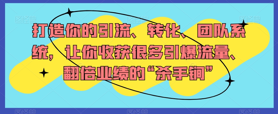 打造你的引流、转化、团队系统，让你收获很多引爆流量、翻倍业绩的“杀手锏”-网创先锋