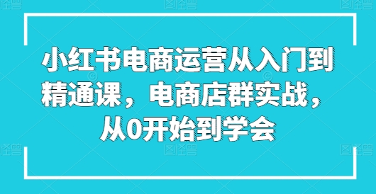 小红书电商运营从入门到精通课，电商店群实战，从0开始到学会-网创先锋