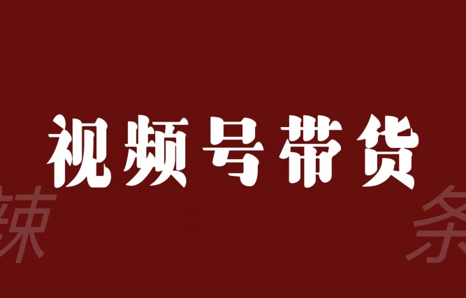 视频号带货联盟，赚信息差的带货钱，只需手机随时随地都可以做！-网创先锋
