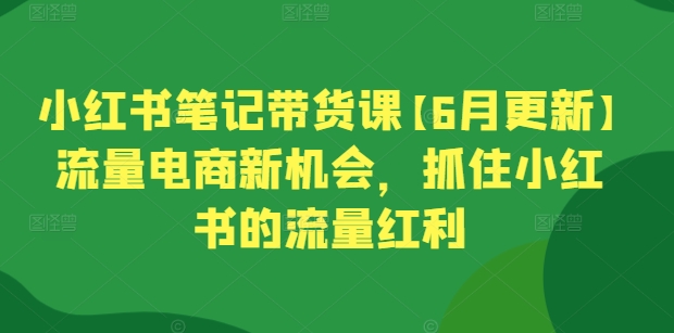 小红书笔记带货课【6月更新】流量电商新机会，抓住小红书的流量红利-网创先锋