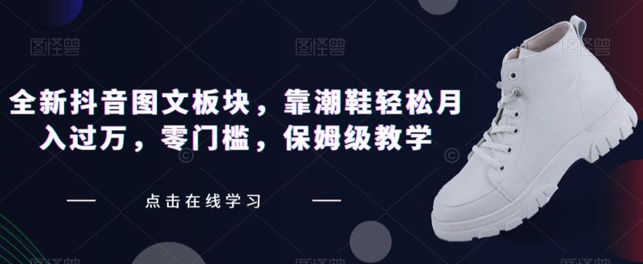 全新抖音图文板块，靠潮鞋轻松月入过万，零门槛，保姆级教学【揭秘】-网创先锋