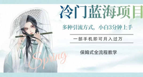 冷门蓝海项目，操作简单，小白3分钟上手，多种引流方式，保姆式全流程教学【揭秘】-网创先锋