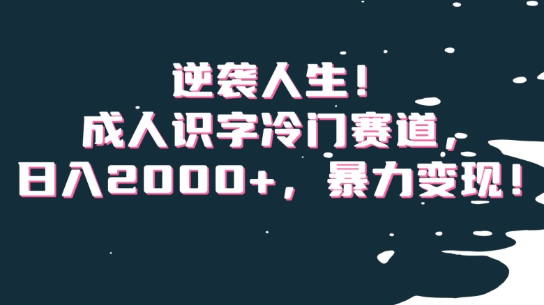 逆袭人生！成人识字冷门赛道，日入2000+，暴力变现！【揭秘】-网创先锋