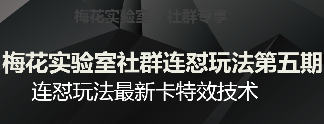 梅花实验室社群连怼玩法第五期，视频号连怼玩法最新卡特效技术-网创先锋