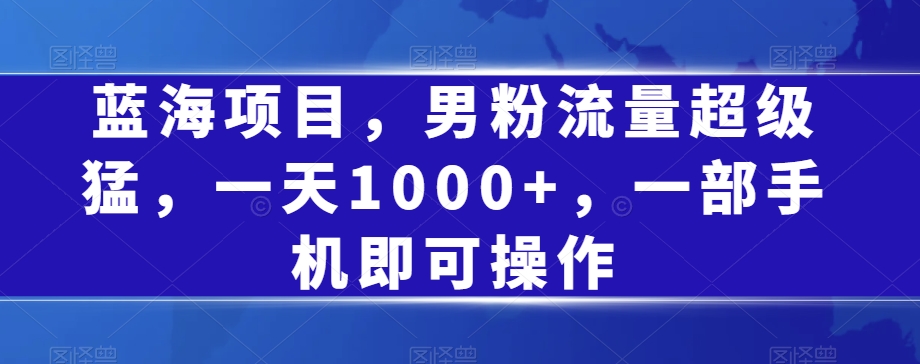 蓝海项目，男粉流量超级猛，一天1000+，一部手机即可操作【揭秘】-网创先锋