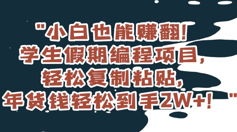 小白也能赚翻！学生假期编程项目，轻松复制粘贴，年货钱轻松到手2W+【揭秘】-网创先锋