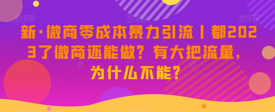 新·微商零成本暴力引流丨都2023了微商还能做？有大把流量，为什么不能？-网创先锋