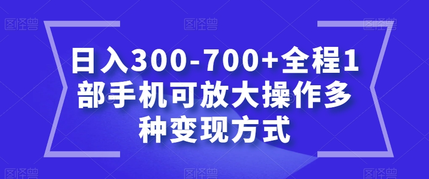 日入300-700+全程1部手机可放大操作多种变现方式【揭秘】-网创先锋