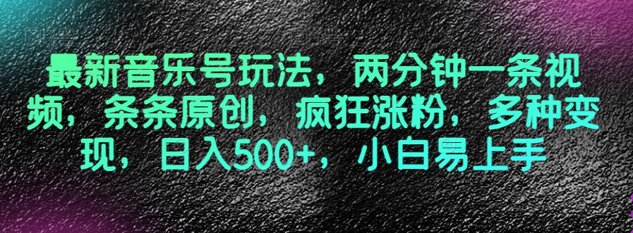 最新音乐号玩法，两分钟一条视频，条条原创，疯狂涨粉，多种变现，日入500+，小白易上手【揭秘】-网创先锋