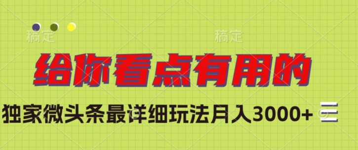 独家微头条最详细玩法，月入3000+【揭秘】-网创先锋