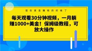 每天观看30分钟视频，一月躺赚1000+美金！保姆级教程，可放大操作【揭秘】-网创先锋