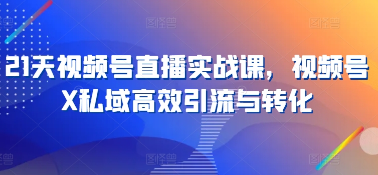 21天视频号直播实战课，视频号X私域高效引流与转化-网创先锋