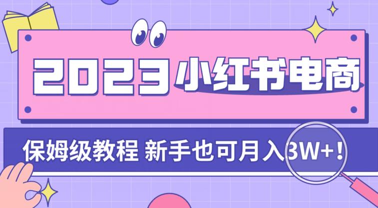 阿本小红书电商陪跑营4.0，带大家从0到1把小红书做起来-网创先锋