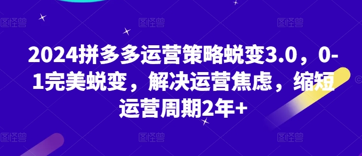 2024拼多多运营策略蜕变3.0，0-1完美蜕变，解决运营焦虑，缩短运营周期2年+-网创先锋