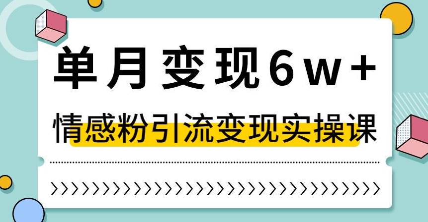 单月变现6W+，抖音情感粉引流变现实操课，小白可做，轻松上手，独家赛道【揭秘】-网创先锋