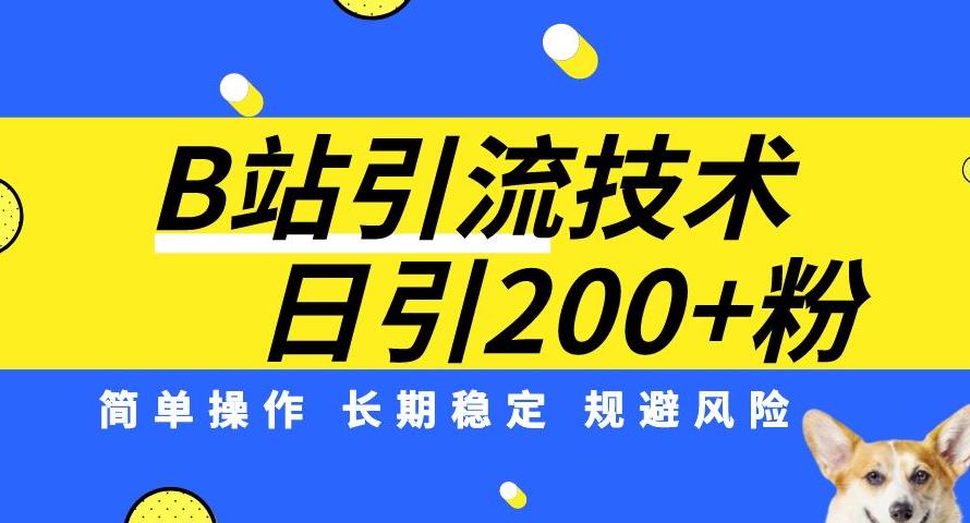 B站引流技术：每天引流200精准粉，简单操作，长期稳定，规避风险-网创先锋