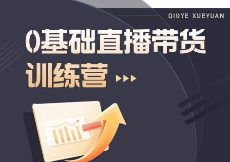 2023直播带货入门进阶运营实训课程，新手直播运营培训实操课-网创先锋