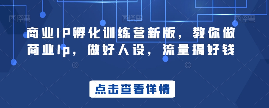 商业IP孵化训练营新版，教你做商业Ip，做好人设，流量搞好钱-网创先锋