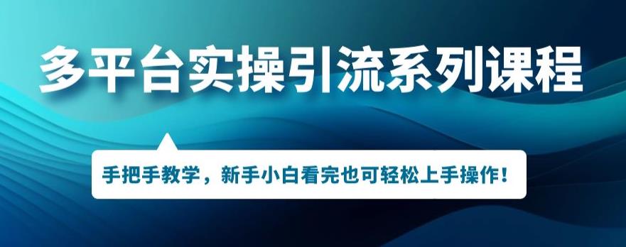 多平台引流实操系列课程，新手小白看完也可轻松上手进行引流操作-网创先锋
