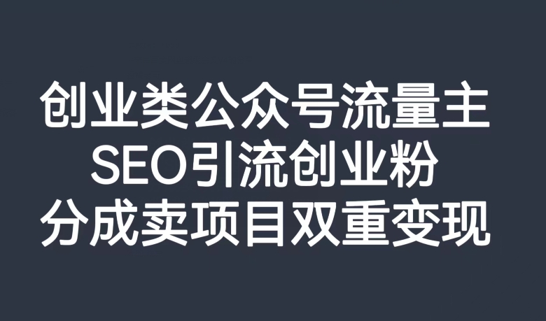 创业类公众号流量主，SEO引流创业粉，分成卖项目双重变现【揭秘】-网创先锋