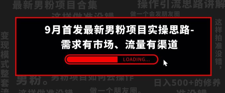 9月首发最新男粉项目实操思路-需求有市场，流量有渠道【揭秘】-网创先锋
