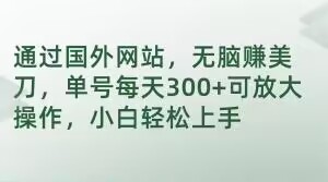 通过国外网站，无脑赚美刀，单号每天300+可放大操作，小白轻松上手【揭秘】-网创先锋