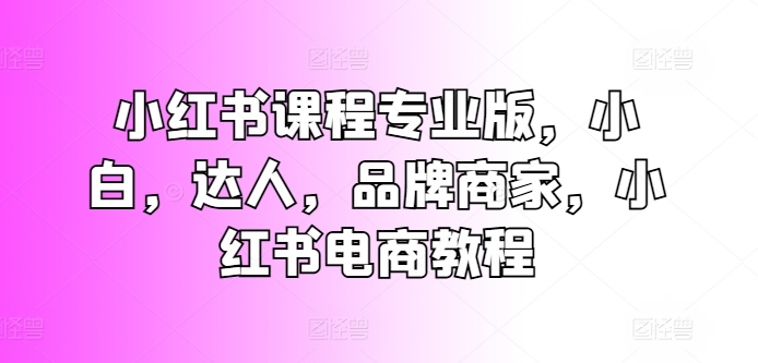 小红书课程专业版，小白，达人，品牌商家，小红书电商教程-网创先锋