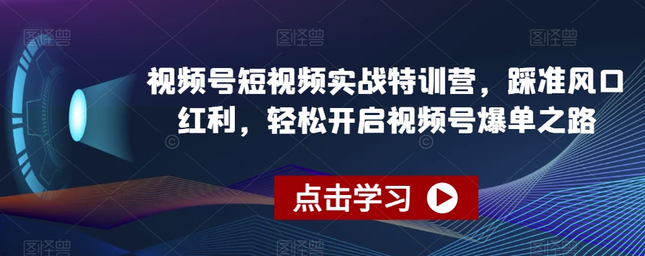 视频号短视频实战特训营，踩准风口红利，轻松开启视频号爆单之路-网创先锋