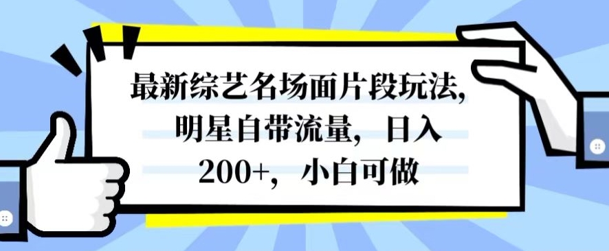 最新综艺名场面片段玩法，明星自带流量，日入200+，小白可做【揭秘】-网创先锋