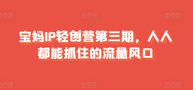 宝妈IP轻创营第三期，人人都能抓住的流量风口-网创先锋